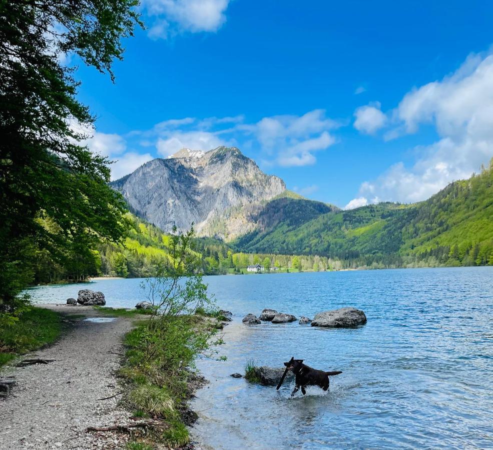 Kainzleitenhof Nachdemsee Экстерьер фото